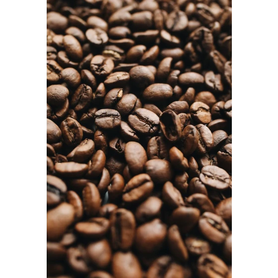 Robusta Coffee Bean